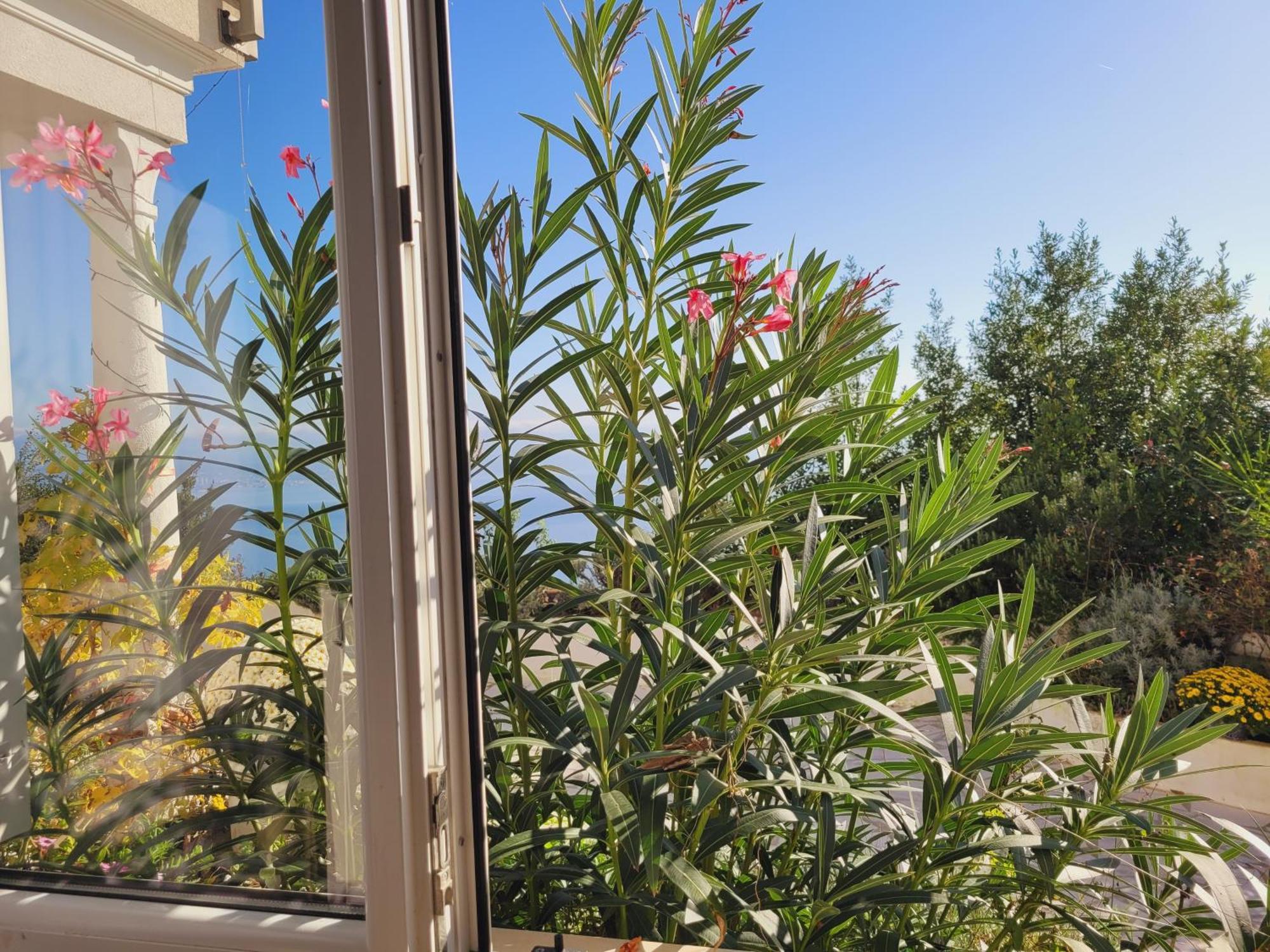 Apartments Chiara Mit Meerblick Und Pool Und Jacuzzi Laurana Esterno foto