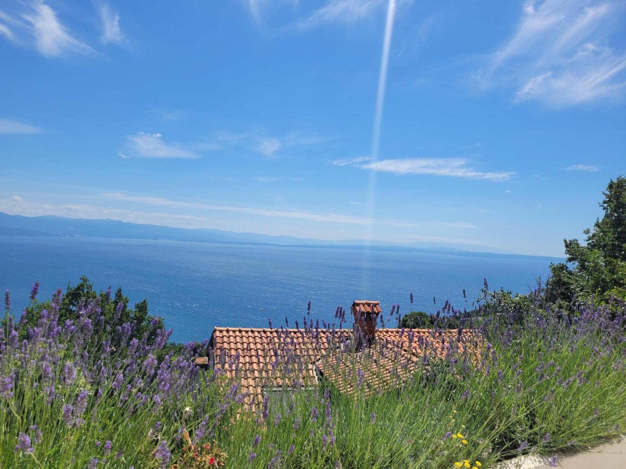 Apartments Chiara Mit Meerblick Und Pool Und Jacuzzi Laurana Esterno foto